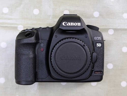Canon eos mark 21 1mp - mark, 21,1mp